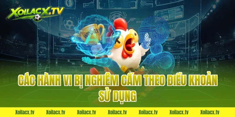 Các Hành Vi Bị Nghiêm Cấm Theo Điều Khoản Sử Dụng