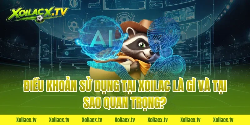 Điều Khoản Sử Dụng Tại Xoilac Là Gì Và Tại Sao Quan Trọng?
