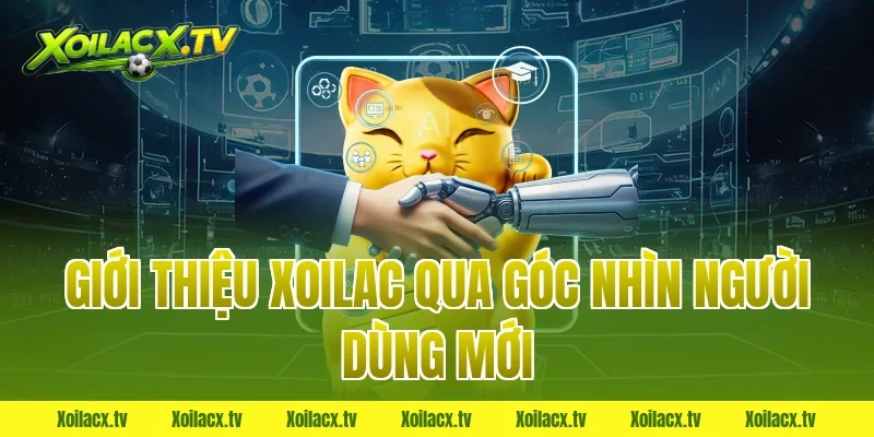 Giới thiệu xoilac qua góc nhìn người dùng mới