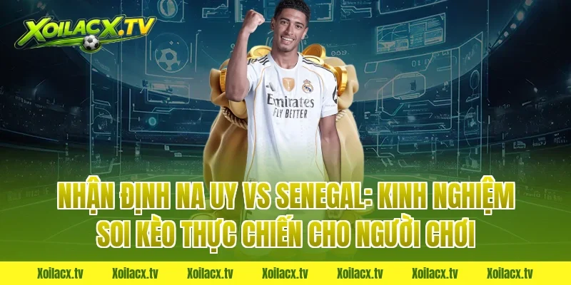 Nhận định Na Uy vs Senegal: Kinh nghiệm soi kèo thực chiến cho người chơi