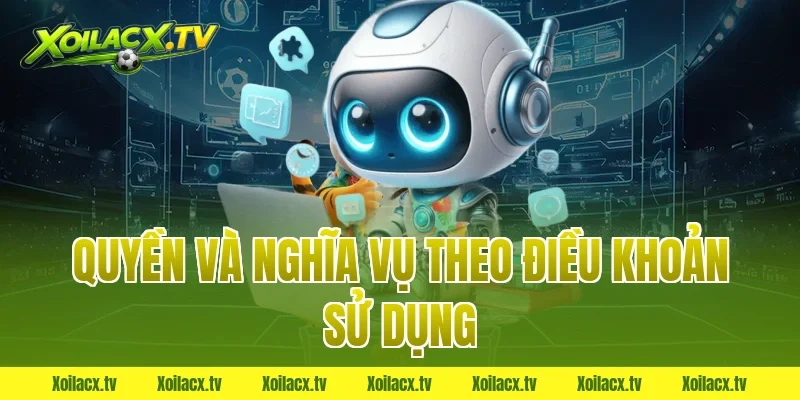 Quyền Và Nghĩa Vụ Theo Điều Khoản Sử Dụng